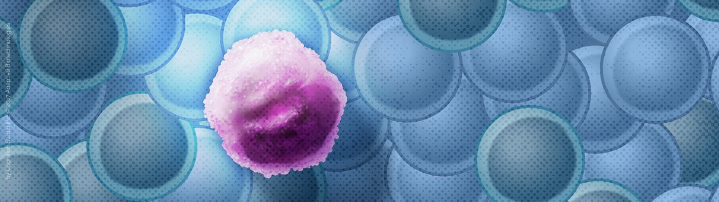 Banner CognitionStudio