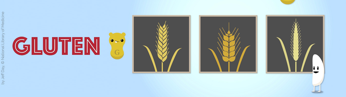 banner Gluten JeffDay