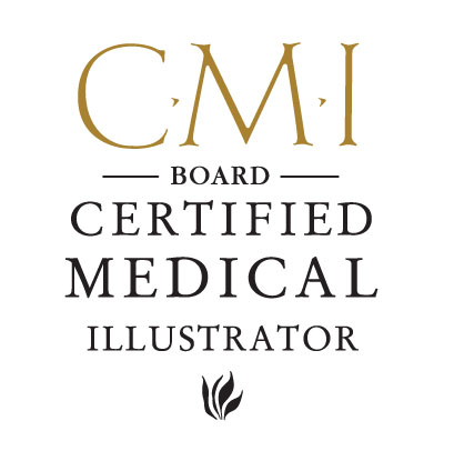 CMI logo