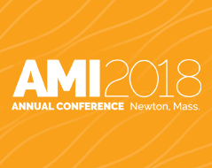 AMI2017