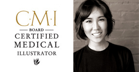 CMI Aoki